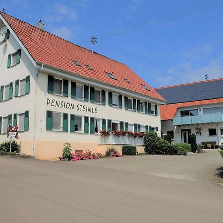 Pension Steinle Erbach an der Danau Экстерьер фото