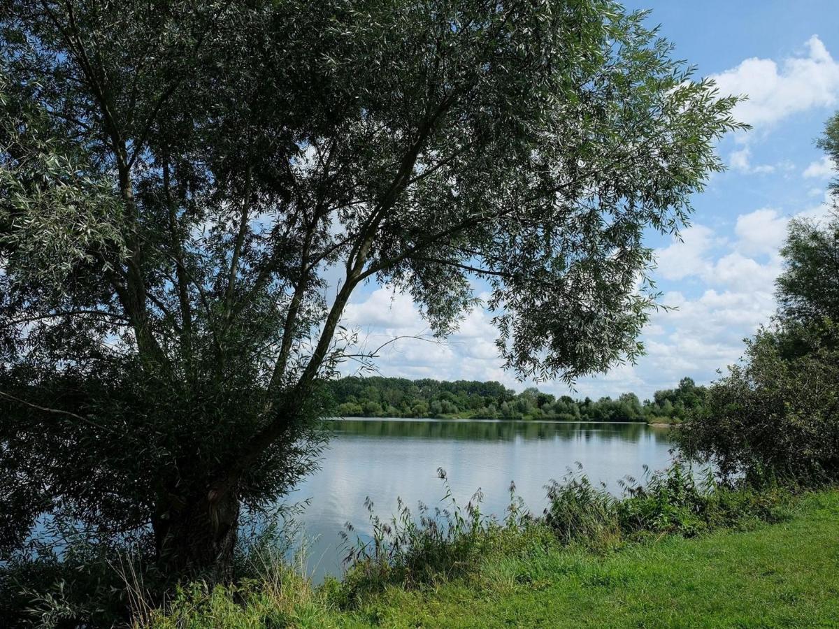 Pension Steinle Erbach an der Danau Экстерьер фото